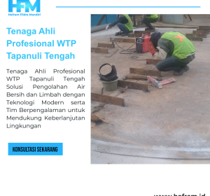 Tenaga Ahli Profesional WTP Tapanuli Tengah